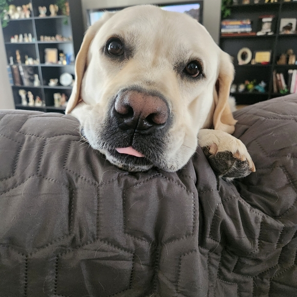 Meet your Posher, Jessica - Picture 8 of 16